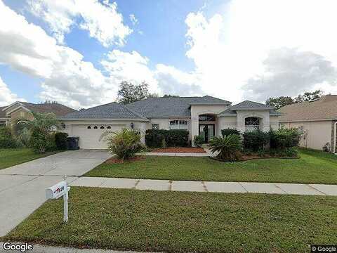 Ridge, VALRICO, FL 33594