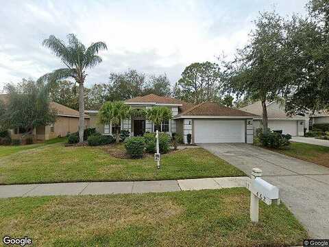 Equine, TARPON SPRINGS, FL 34688