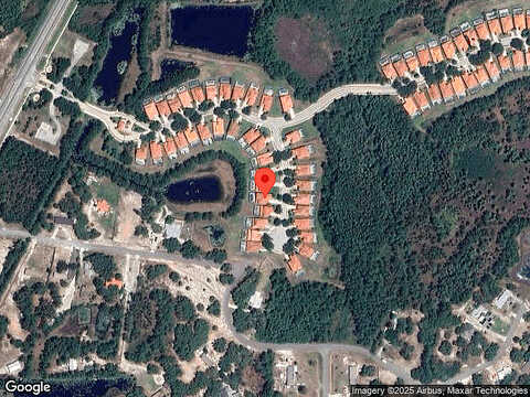 Tigerlily, DAVENPORT, FL 33837