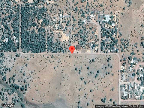 Coyote, LAKESIDE, AZ 85929
