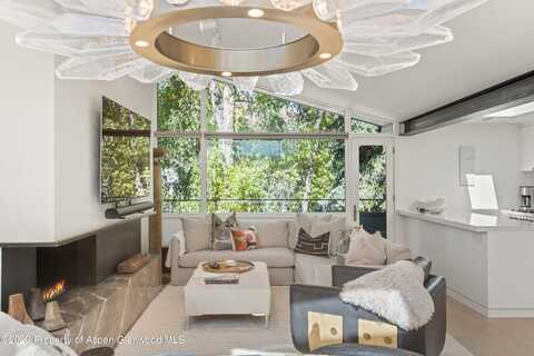 1001 E Cooper Avenue, Aspen, CO 81611