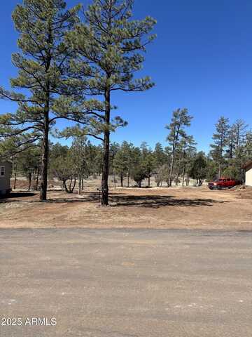 5452 RED SQUIRREL Lane, Lakeside, AZ 85929