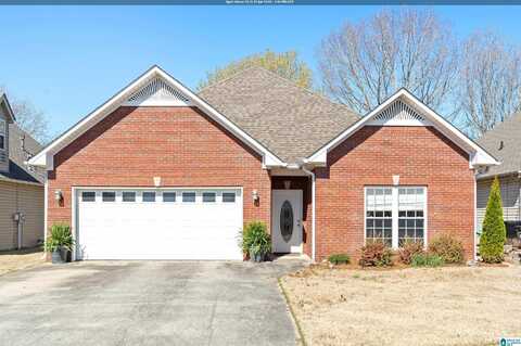 60 TRELLIS CIRCLE, SPRINGVILLE, AL 35146