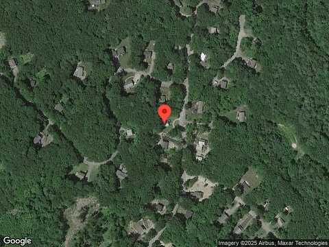 White Birch, GILFORD, NH 03249