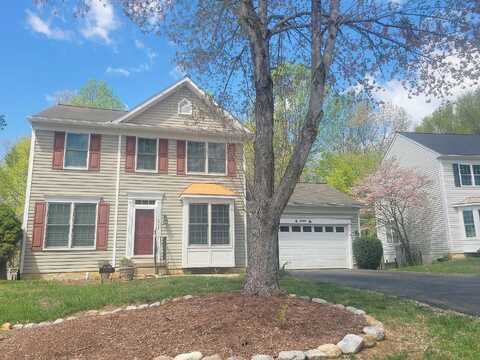 Slippery Elm, WOODBRIDGE, VA 22193