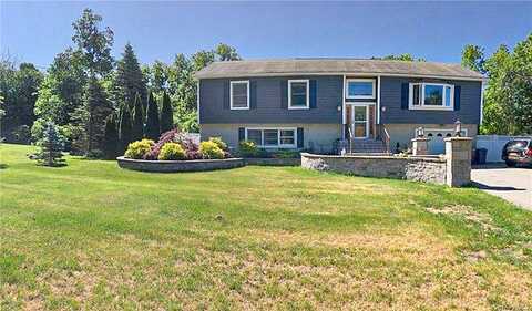 Treasure, PINE ISLAND, NY 10969