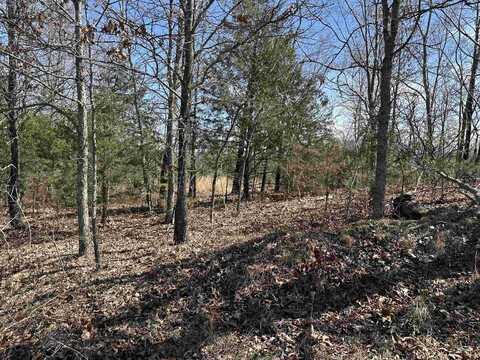 Lot 2 Deer Meadows Lane, Yellville, AR 72687