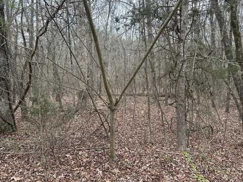 00 Hidden Ridge Loop, Dunlap, TN 37327
