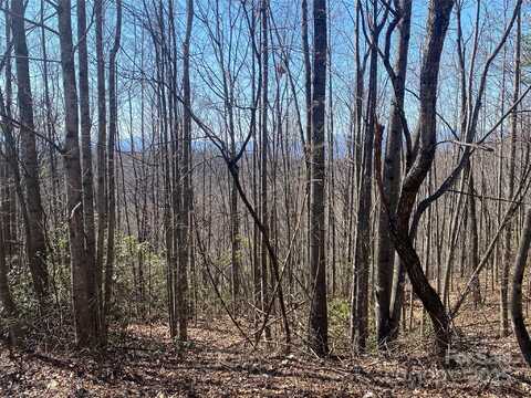Mountain Crest Drive S lot: 72, Marion, NC 28752
