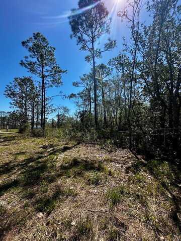 0 Fifth Ave, Steinhatchee, FL 32359