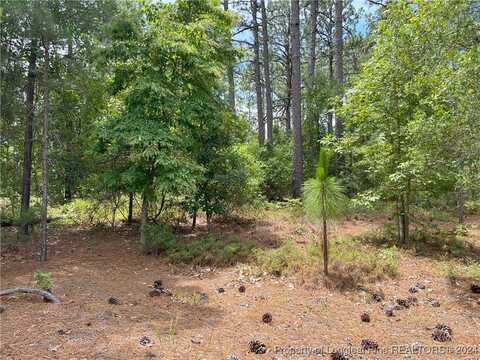 Sandy Branch Lane, Aberdeen, NC 28315