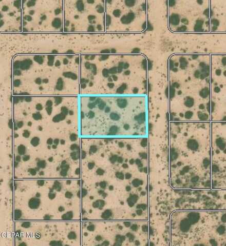 Esopus, Horizon City, TX 79928