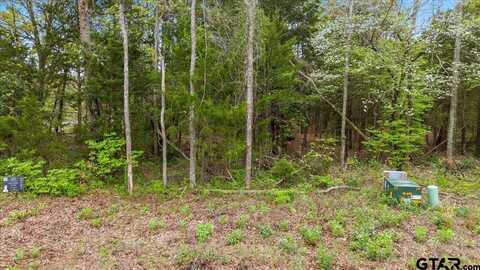 197 Private Road 6235, Mineola, TX 75773
