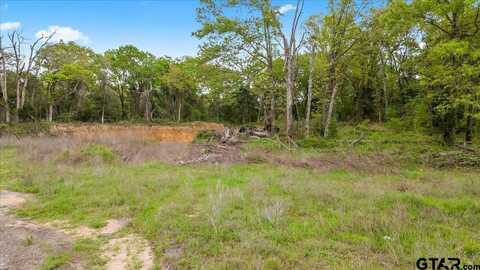 189 Private Road 6235, Mineola, TX 75773