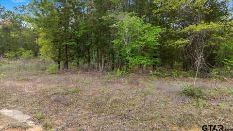 209 Private Road 6235, Mineola, TX 75773