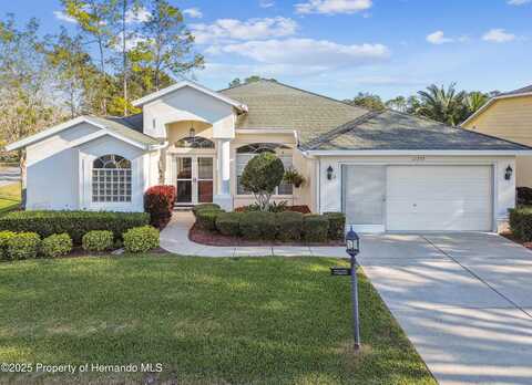 11339 Alden Court, Hudson, FL 34667