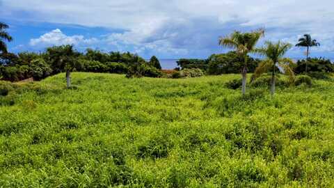 31-154 HAWAII BELT RD, Ninole, HI 96773