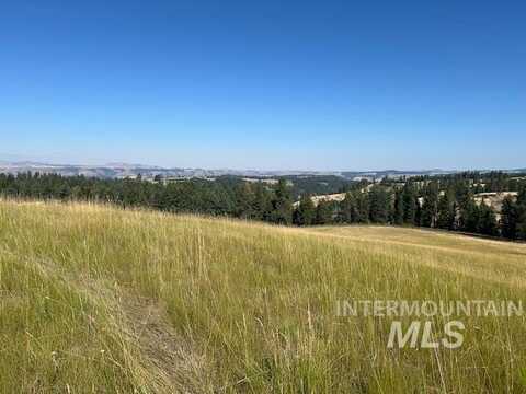 Parcel 13 Red Fir Road, Kooskia, ID 83539