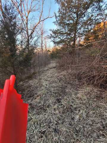 6-1 Lot 1,2,3,4,5,6,7, Corinth, KY 41010