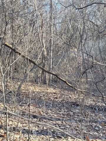 5-3 Lots 2,4,6, Corinth, KY 41010