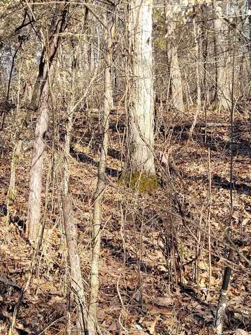 5-2 Lots 1,3,5, Corinth, KY 41010