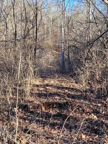 5-1 Lot 9 and10, Corinth, KY 41010