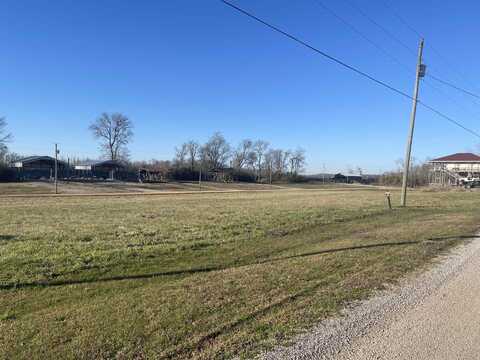 LOT 117 CATFISH, Crump, TN 38327