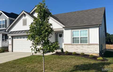 16804 River Stone Drive, Florissant, MO 63031