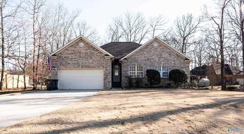 106 Whitfield Drive, Toney, AL 35773