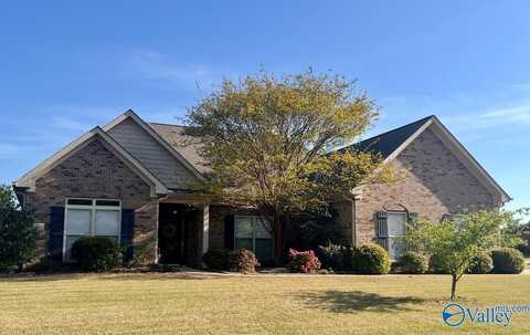 6701 Mceachern Lane, Owens Cross Roads, AL 35763