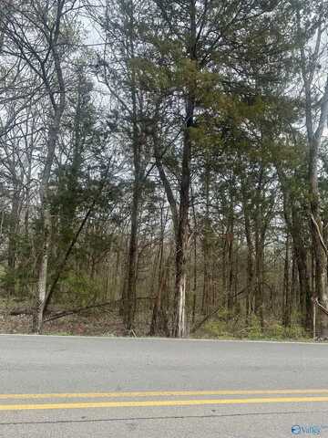 Lot 11 N Greenway Drive, Trinity, AL 35673