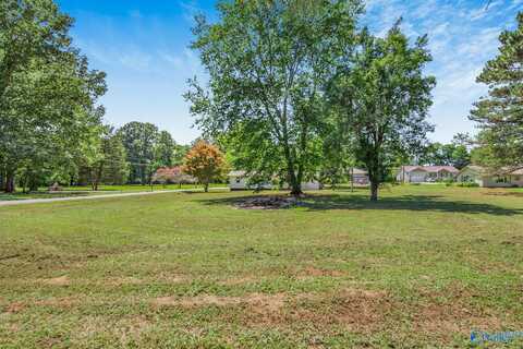 110 Park Street, Rogersville, AL 35652