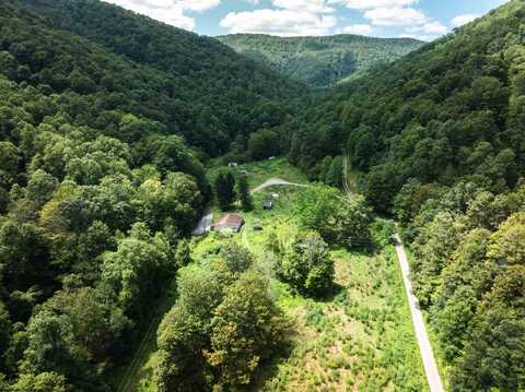 3595 Licking Creek Road, Parsons, WV 26287
