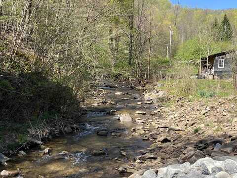 3595 Licking Creek Road, Parsons, WV 26287