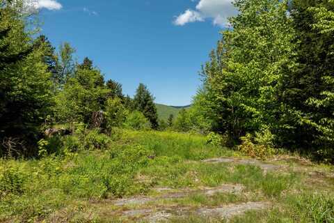 0 Turtle Hill Road, Ludlow, VT 05149