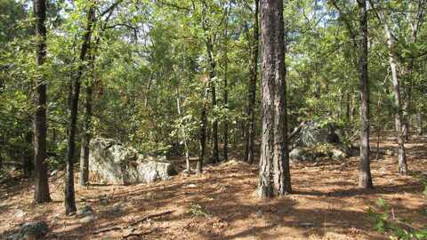 38 Antlers Reserve Road, Antlers, OK 74523