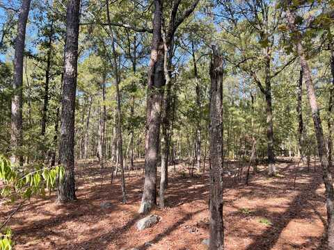 15 Antlers Reserve Road, Antlers, OK 74523