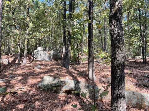 100 Antlers Reserve Road, Antlers, OK 74523