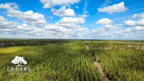 0 Cecil Nobles Highway, Ludowici, GA 31316