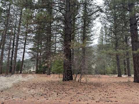 218 Back Acres Court, Taylorsville, CA 95983