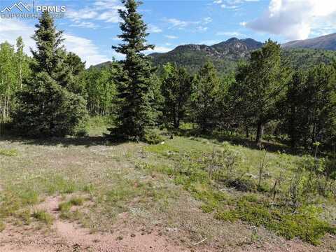 12775 S Highway 67, Cripple Creek, CO 80813