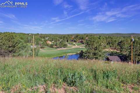 288 Piney Point Lane, Woodland Park, CO 80863