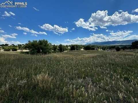 704 Washington Street, Monument, CO 80132