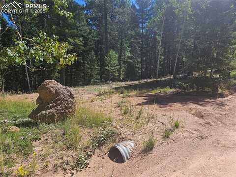 2701 N Mountain Estates Road, Florissant, CO 80816