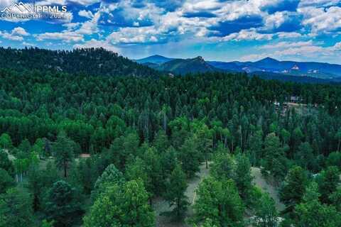 525 Spring Valley Lane, Florissant, CO 80816