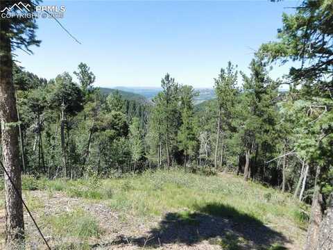 13670 Spruce Creek Circle, Larkspur, CO 80118