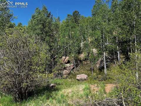 2136 Golden Cycle Circle, Cripple Creek, CO 80813