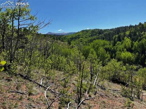 2136 Golden Cycle Circle, Cripple Creek, CO 80813