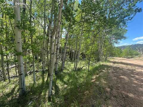 524 Buckhorn Road, Cripple Creek, CO 80813