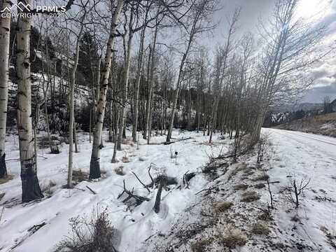 524 Buckhorn Road, Cripple Creek, CO 80813